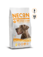 No Gluten _ Dog _ PESCE & RISO