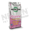 Atletic Dog _ Dog _ Puppy_INTERNO