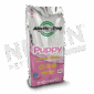 Atletic Dog _ Dog _ Puppy_INTERNO