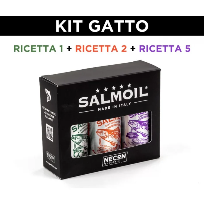 kit-gatto_galleria.jpg kit-gatto_galleria.jpg